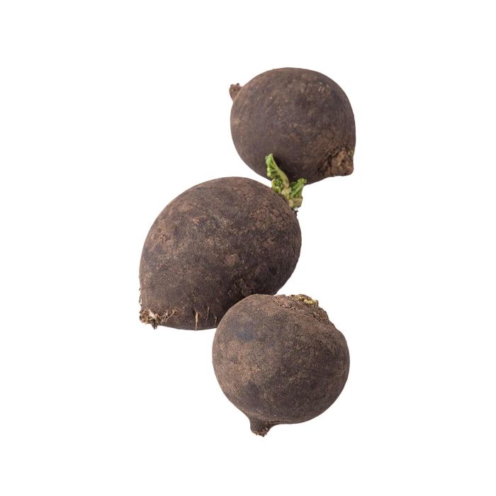 Редька (Україна)