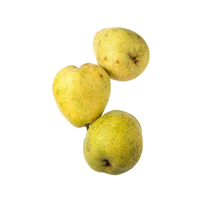 Груша Лукас (Нідерланди)