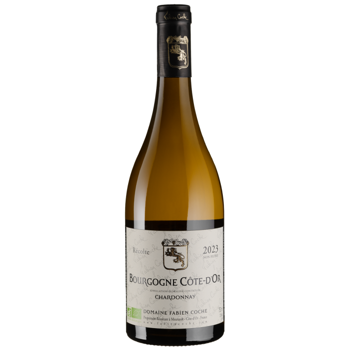 Вино Domaine Fabien Coche Bourgogne Chardonnay / Бургонь Шардоне 2023, біле сухе, 0.75 л