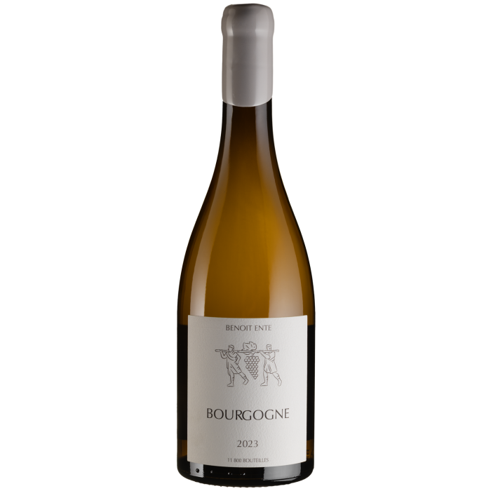 Вино Benoit Ente Bourgogne Chardonnay / Бургонь Шардоне 2023, біле сухе, 0.75 л