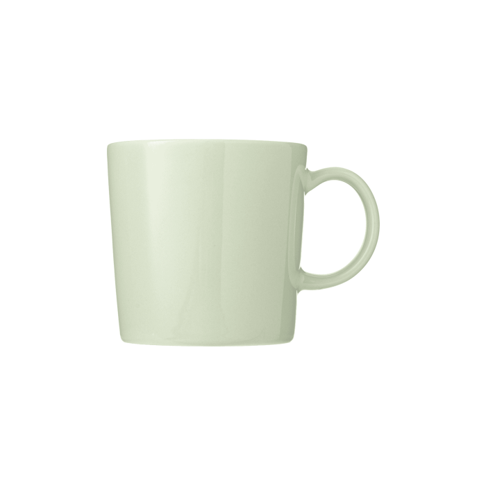 Кружка світло-зелена 0,3л Teema, Iittala