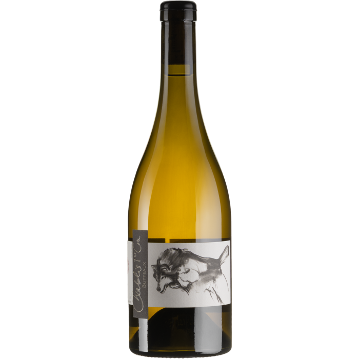 Вино Pattes Loup Chablis 1er Cru Butteaux / Шаблі Прем'єр Крю Бюто 2021, біле сухе, 0.75 л