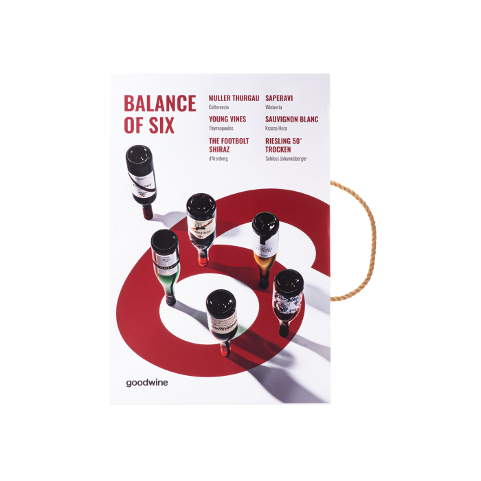 Кейс “Balance of Six”