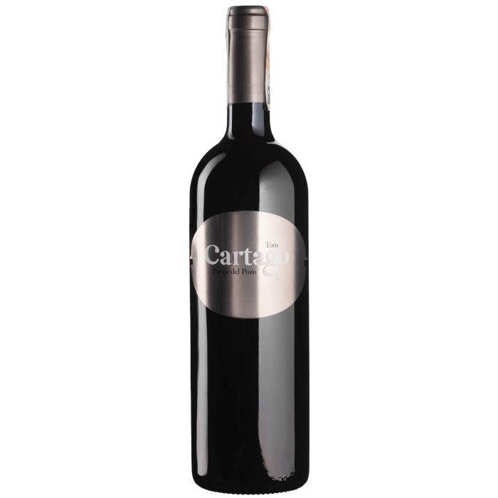 Вино San Roman Bodegas y Vinedos Cartago / Картаго 2017, червоне сухе, 0.75 л
