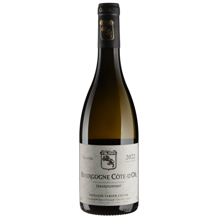 Вино Domaine Fabien Coche Bourgogne Chardonnay / Бургонь Шардоне 2022, біле сухе, 0.75 л