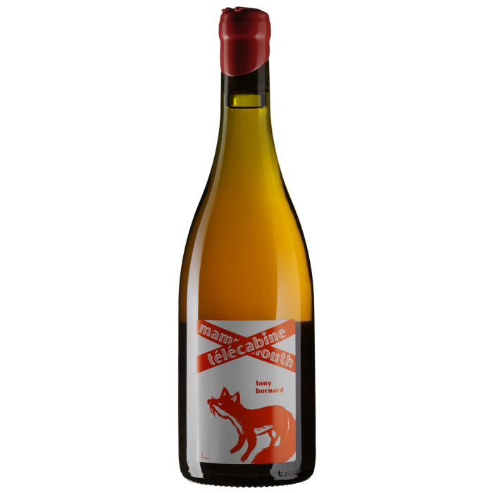 Вино Tony Bornard Savagnin Mammouth Telecabine / Саваньєн Мамут Телекабін 2016, біле сухе, 0.75 л