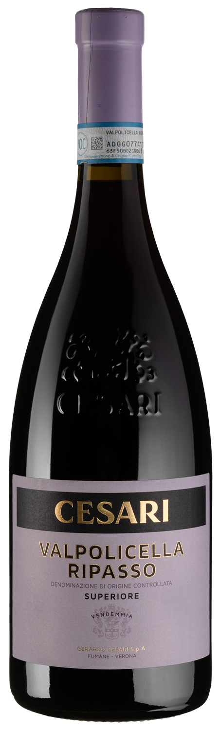 Вино Valpolicella Ripasso DOC Superiore - 0,75 л - купити в Києві
