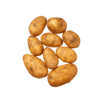Картопля (Єгипет)