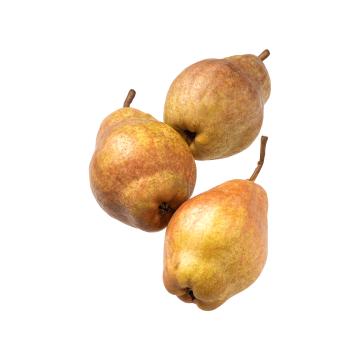 Груша (Україна)