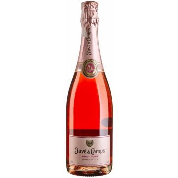 Ігристе Juve y Camps Brut Rose / Брют Розе, рожеве, 0.75 л