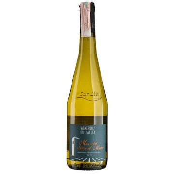 Вино Vignerons du Pallet Muscadet Sevre et Maine sur Lie / Мюскаде Севр е Мен Сьор Лі, біле сухе, 0.75 л