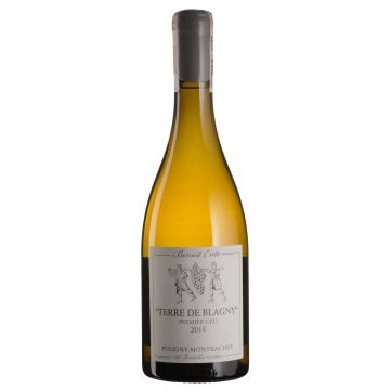 Вино Benoit Ente Puligny-Montrachet 1-er Cru "Sous le Puits", Terre de Blagny / Пуліні-Монраше Прем'єр Крю Тер де Блані 2014, біле сухе, 0.75 л