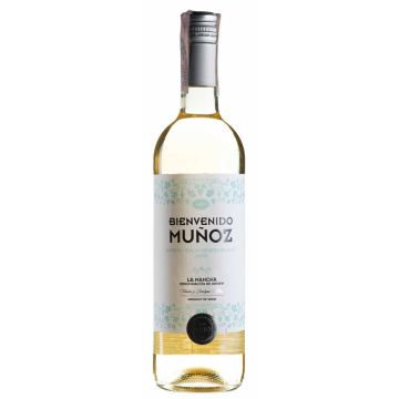 Вино Bienvenido Munoz Airen Sauvignon Blanc / Айрен Совіньйон Блан, біле сухе, 0.75 л