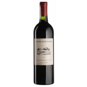 Вино Chateau Terrey Daugay Tertre Roteboeuf / Тертр Ротбеф 2007, червоне сухе, 0.75 л
