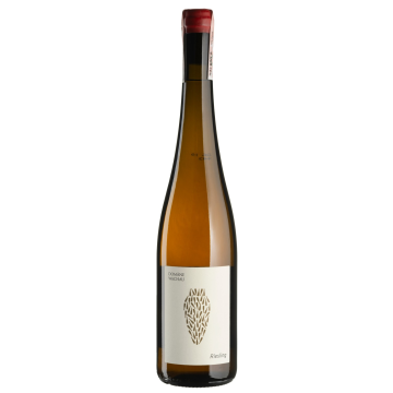 Вино Domane Wachau Riesling Amphora / Рислінг Амфора, біле сухе, 0.75 л