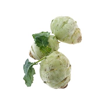 Капуста Кольрабі