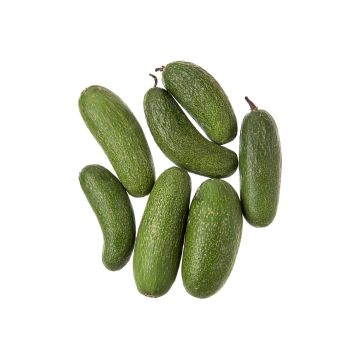 Авокадо без кісточки