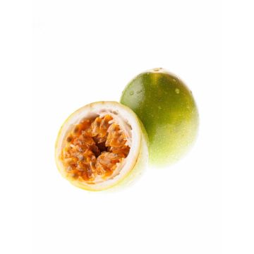 Маракуйя "Passion fruit" шт.