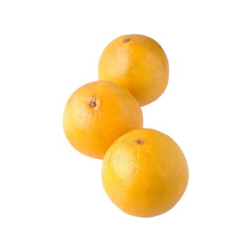Грейпфрут Jaffa (Ізраїль)