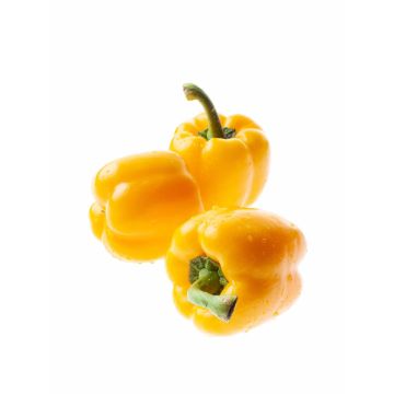 Перець жовтий