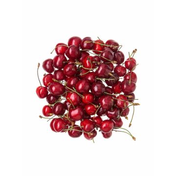 Черешня (Україна)