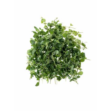 Орегано 50г