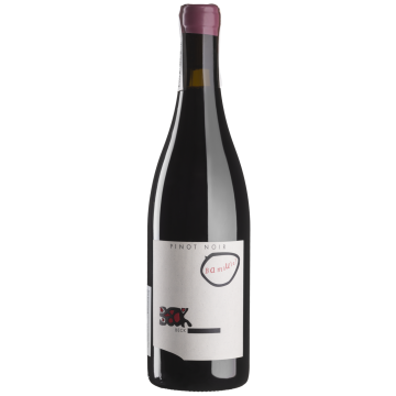 Вино Judith Beck Pinot Noir Bambule! / Піно Нуар Бамбуле! 2018, червоне сухе, 0.75 л