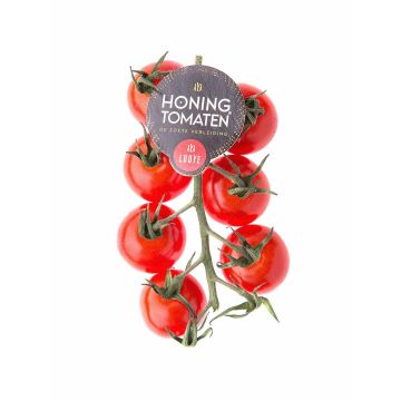 Помідор сорту Чері, Honigtomaten