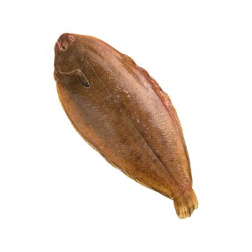 Морський язик 600-800