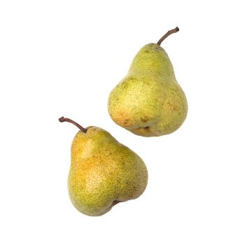 Груша Пакхамс (ПАР)