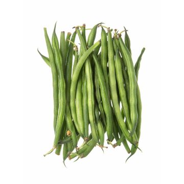 Квасоля стручкова  (Україна)