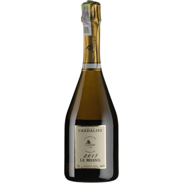 Шампанське De Sousa Cuvee des Caudalies Millesime Le Mesnil / Кюве де Кодалі Міллєзім Ле Меньїль 2013, біле, 0.75 л