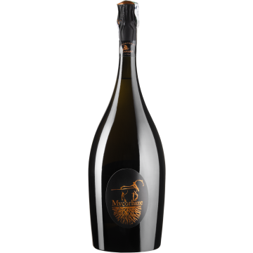 Шампанське De Sousa Cuvee Mycorhize / Кюве Мікоріз, біле, 1.5 л