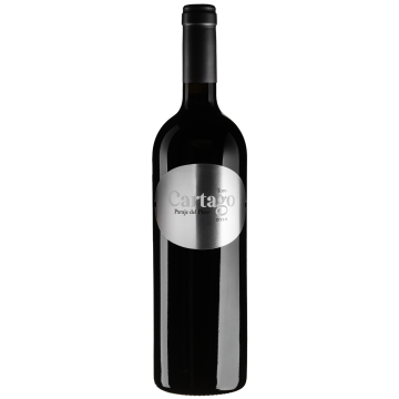 Вино San Roman Bodegas y Vinedos Cartago / Картаго 2020, червоне сухе, 0.75 л