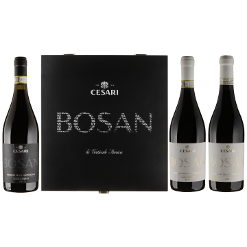Вино Cesari Amarone Bosan (2001 + 2010 + 2015) / Amarone Bosan (2001 + 2010 + 2015), червоне сухе, 2.25 л