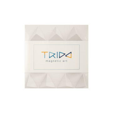 Іграшка дитяча Конструктор магнітний "Sky Small" Скай Смол (з 3 років), Trido