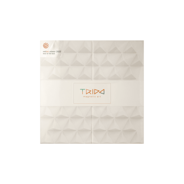 Іграшка дитяча Конструктор магнітний "Honey Large" Хані Лардж (з 3 років), Trido