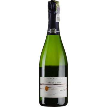 Шампанське Francoise Bedel L'Ame de la Terre / Л'ам де ла Тер 2008, біле, 0.75 л
