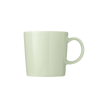 Кружка світло-зелена 0,3л Teema, Iittala