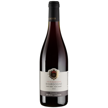 Вино Hubert Lignier Bourgogne Pinot noir Plan Gilbert / Бургонь Піно Нуар План Жильбер 2023, червоне сухе, 0.75 л