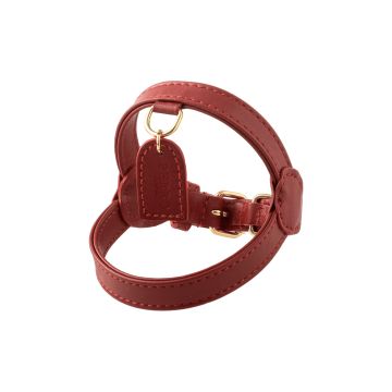 Шлея шкіряна для собак червона розмір XS, Perro Collection