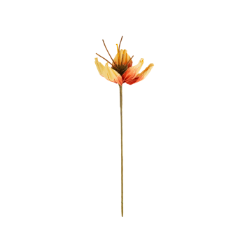 Декор Штучна квітка помаранчева 16x75см Tulip, Wikholm Form