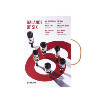 Кейс “Balance of Six”