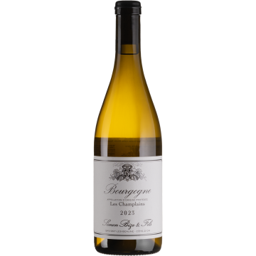 Вино Simon Bize et Fils Bourgogne Les Champlains / Бургунь лє Шамлен 2023, 0.75 л