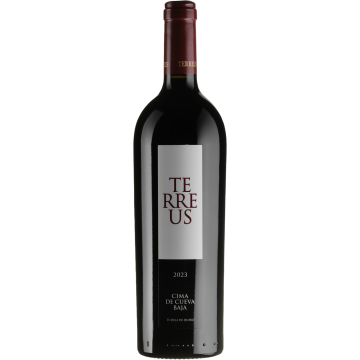 Вино Bodegas Mauro Terreus / Терреус 2023, червоне сухе, 0.75 л