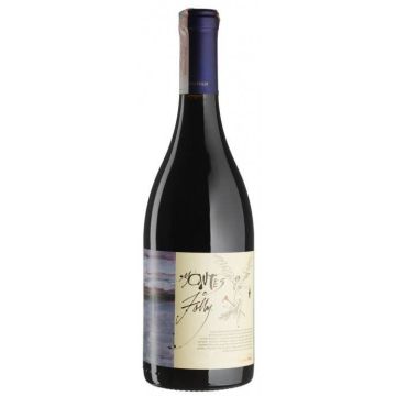 Вино Montes Folly / Фоллі 2019, червоне сухе, 0.75 л
