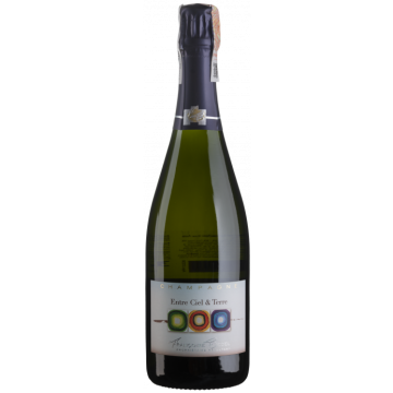 Шампанське Francoise Bedel Jouvence / Йовенс 2012, біле, 0.75 л