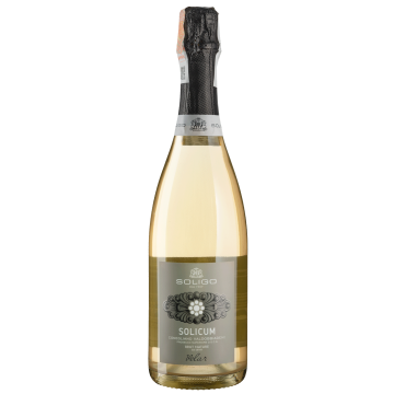 Ігристе Soligo Col Fondo Sparkling Prosecco DOCG / Кол Фондо Просекко DOCG, біле, 0.75 л