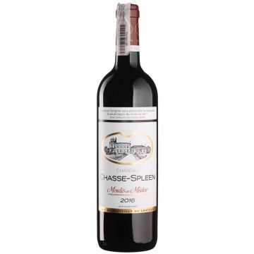 Вино Chateau Chasse-Spleen Chateau Chasse-Spleen / Шато Шасе Сплін 2016, червоне сухе, 0.75 л
