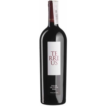 Вино Bodegas Mauro Terreus / Терреус 2020, червоне сухе, 0.75 л